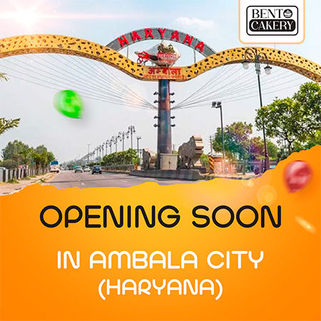 Ambala city