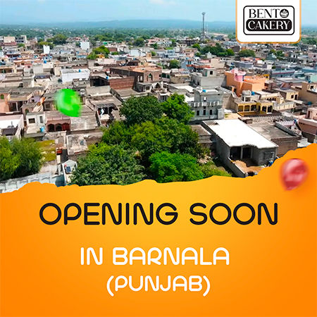 barnala-punjab